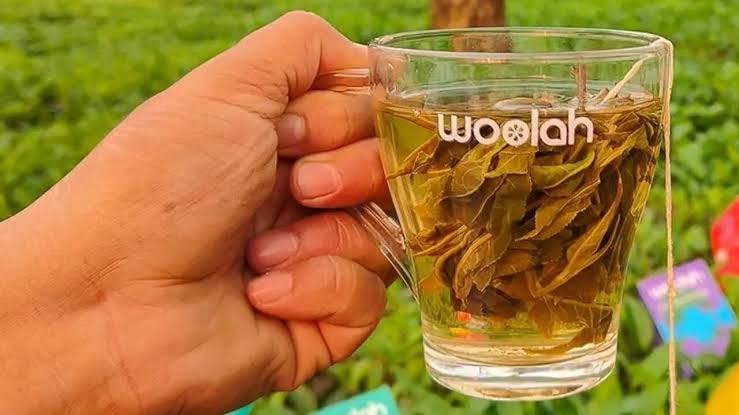Bagless Tea Innovation – Assam 
